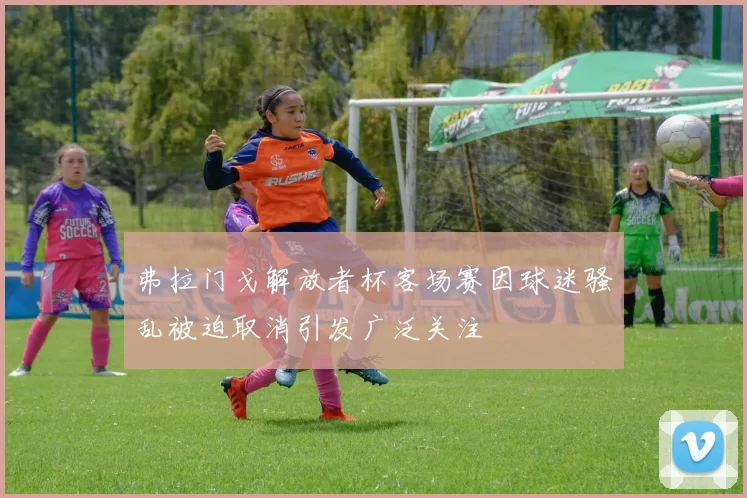 弗拉门戈解放者杯客场赛因球迷骚乱被迫取消引发广泛关注